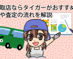 車買取店ならタイガーがおすすめ。評判や査定の流れを解説